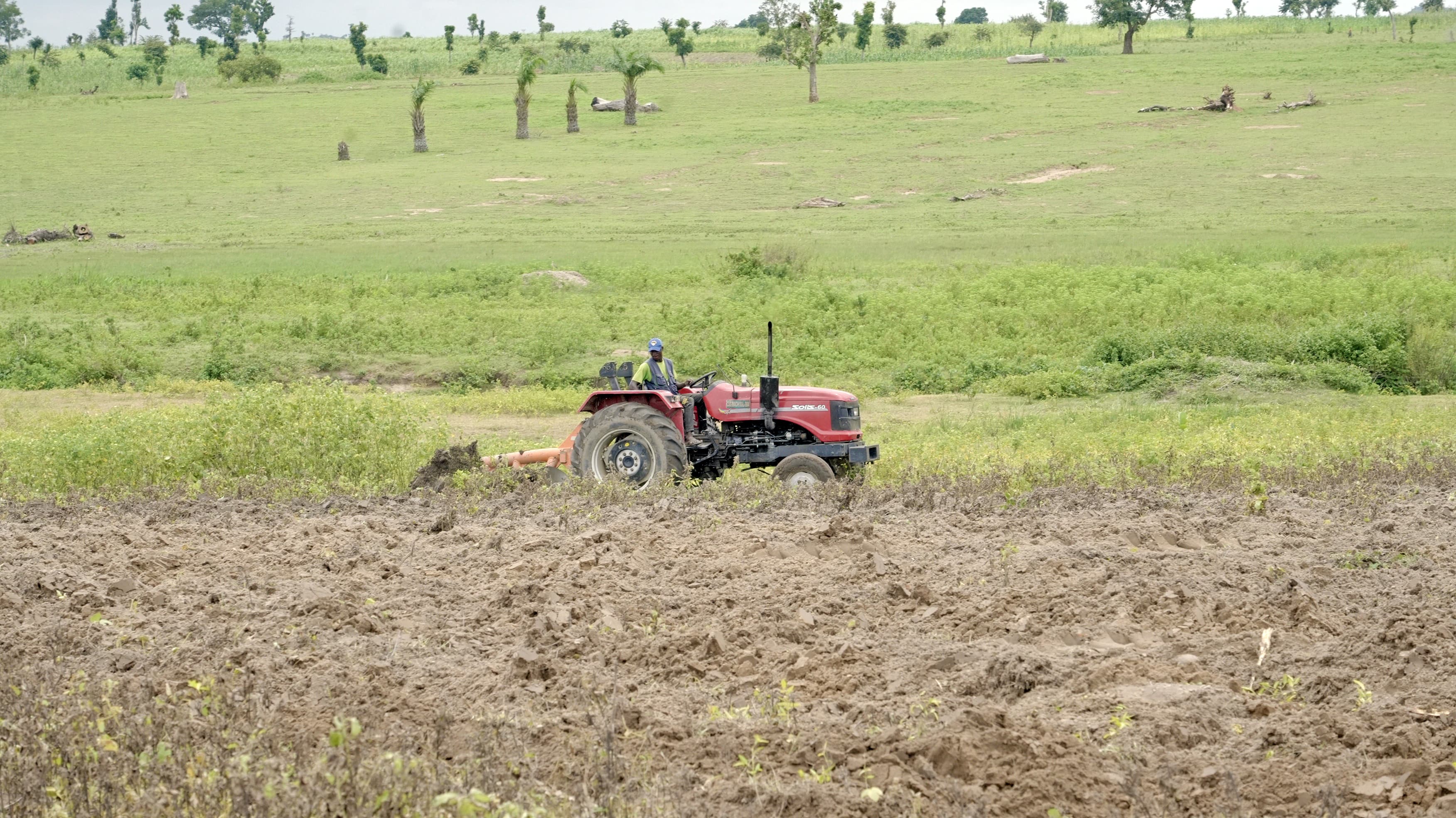Soil Cultivation & Ridging
