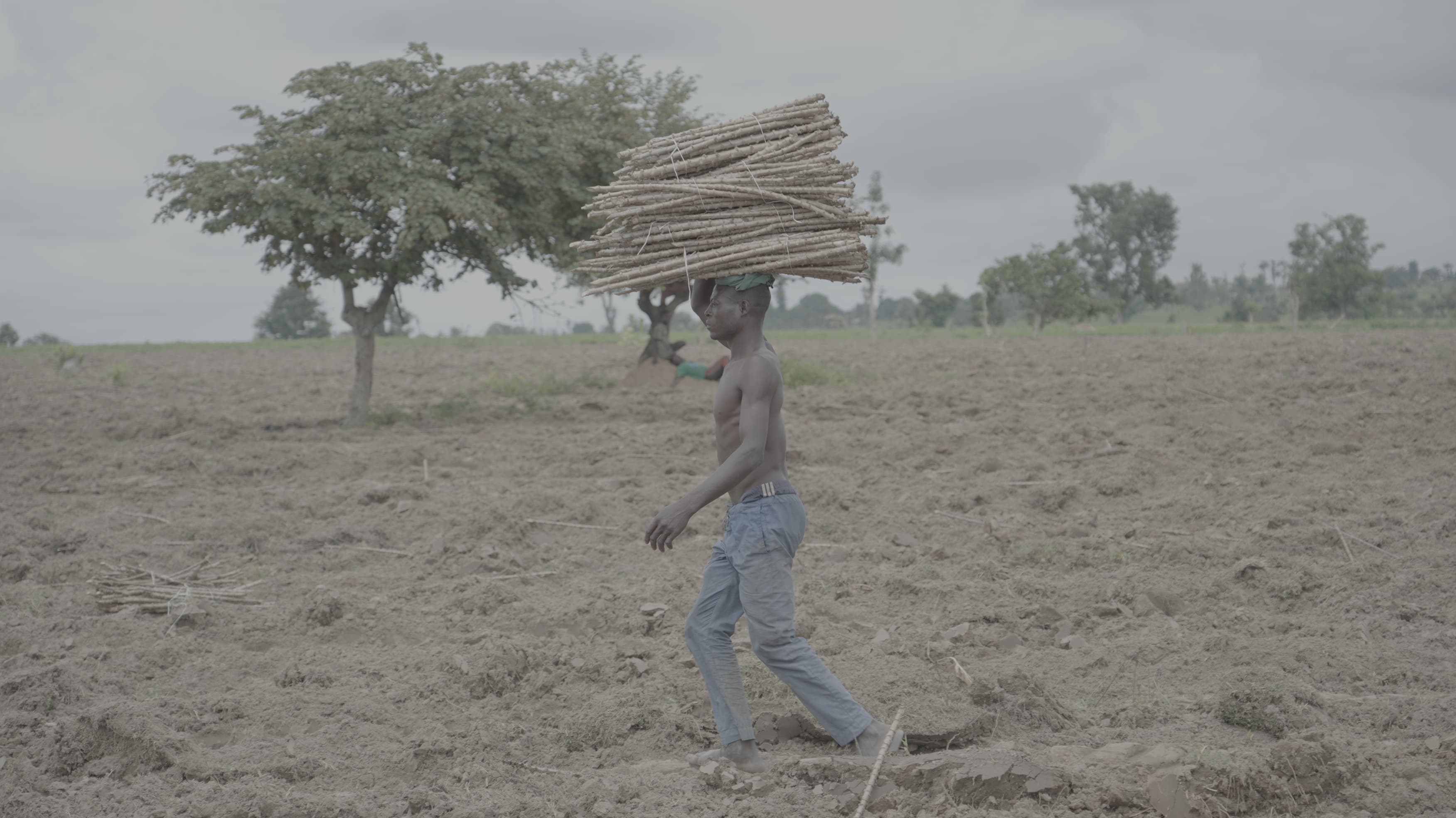 Employing Local Farm Laborers