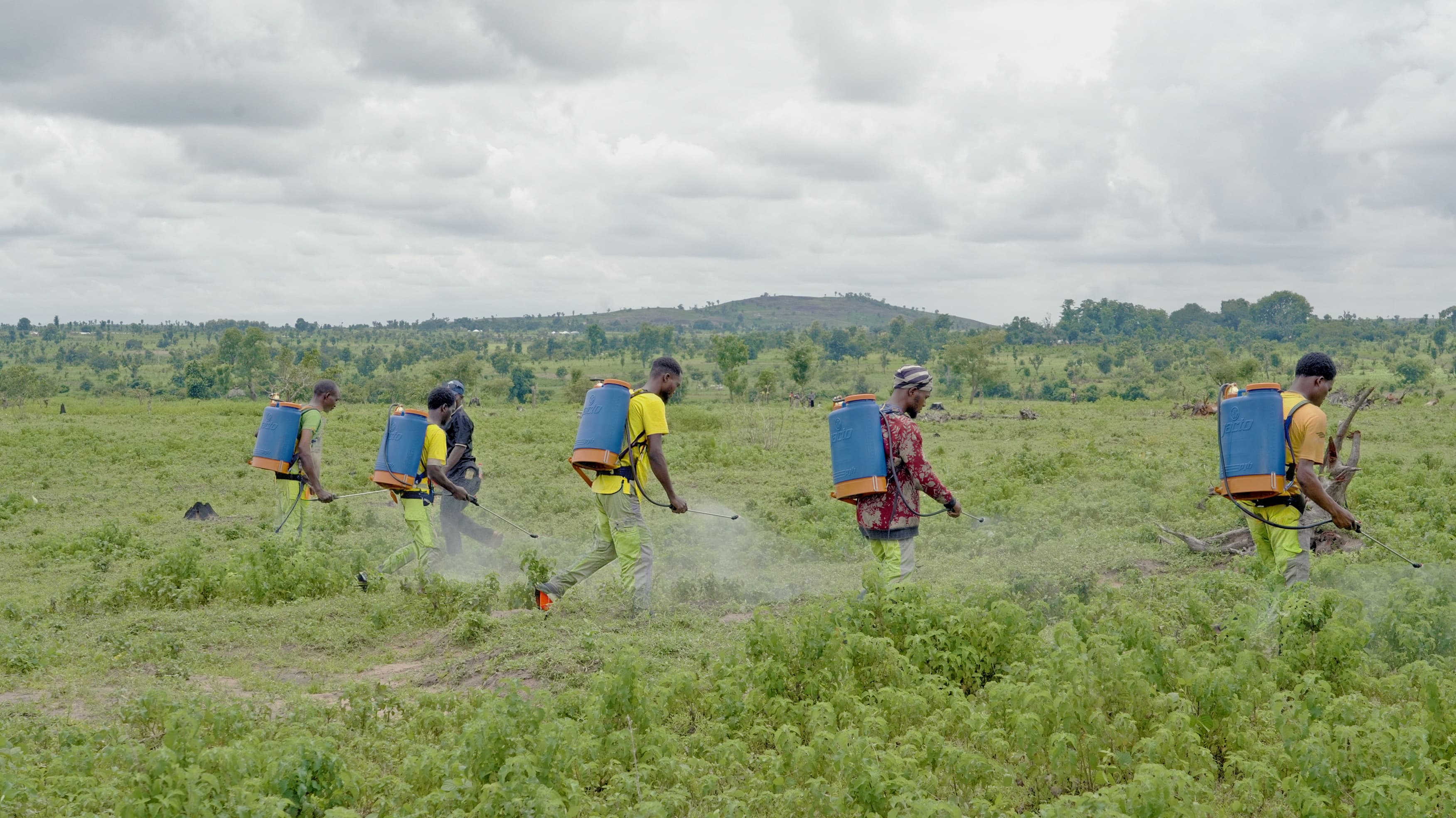 Employing Local Farmers & Spraying Crew